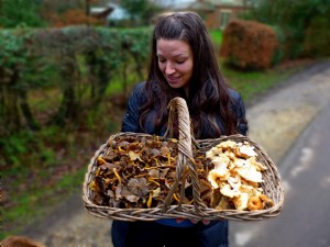 Lisa basket winter chanterelles NF 20 Dec 2015